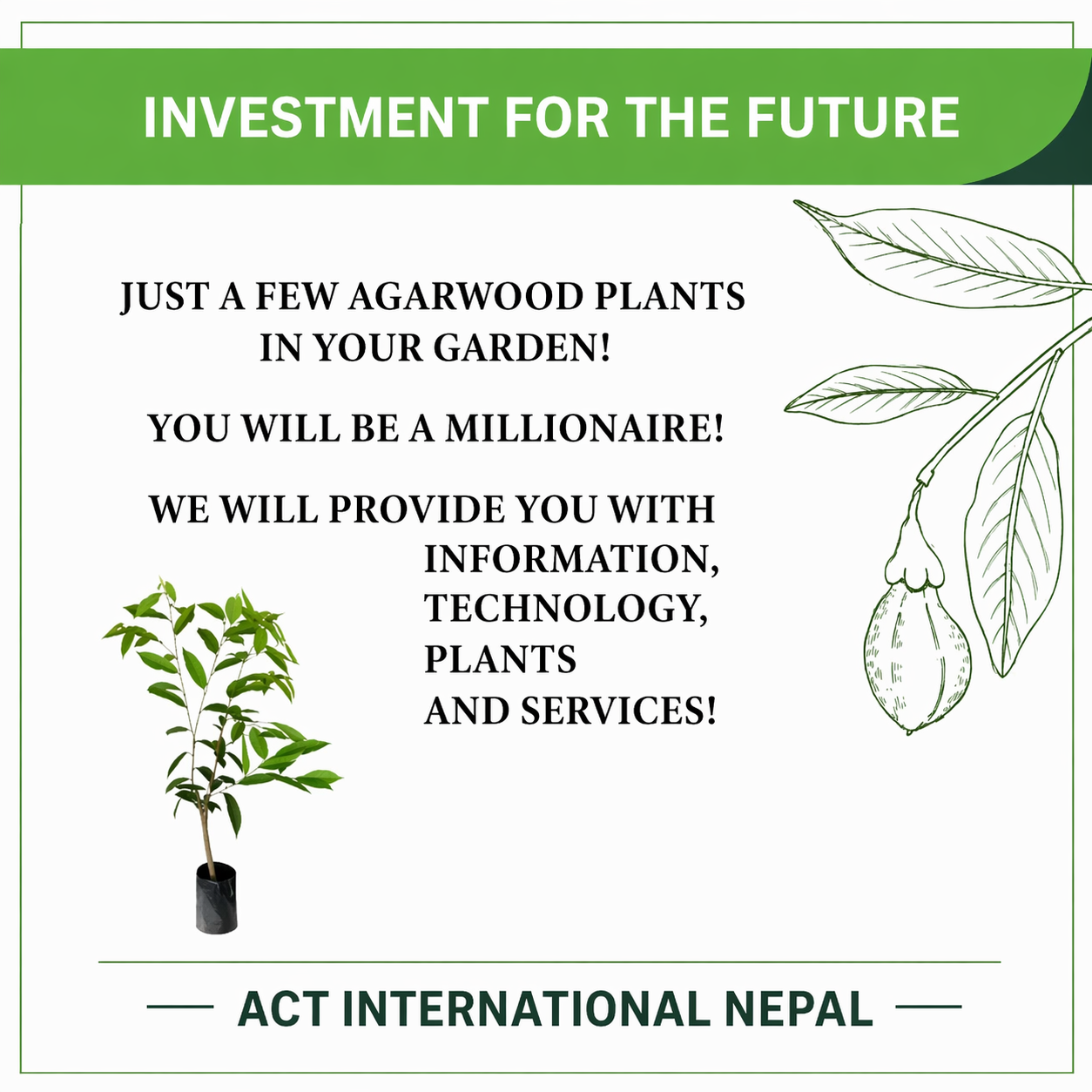 Agarwood Plantation Program image